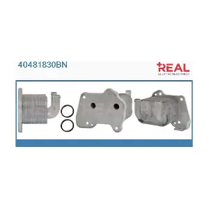 REAL 40481830BN