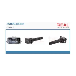 30002400BN REAL