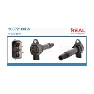 30072100BN REAL