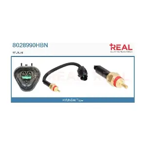 8028990HBN REAL