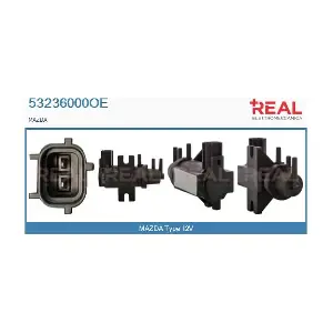53236000OE REAL