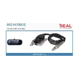 8021470BOE REAL