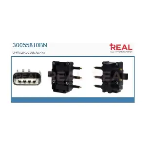 REAL 30055810BN