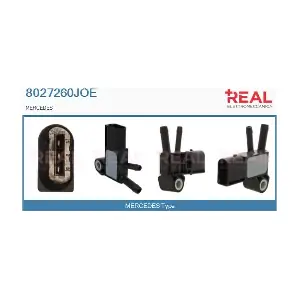 8027260JOE REAL