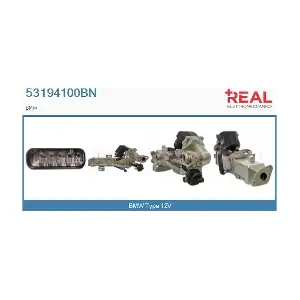 53194100BN REAL