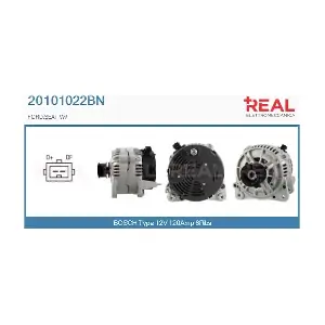 REAL 20101022BN