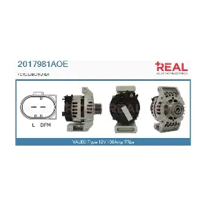 REAL 2017981AOE