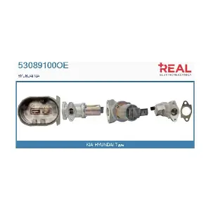 53089100OE REAL