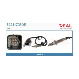 8028170BOE REAL