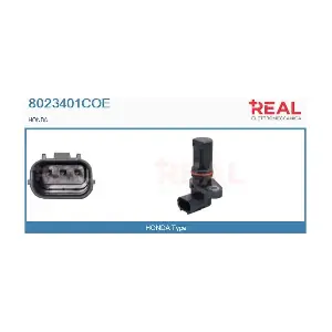 8023401COE REAL