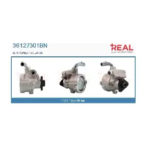 REAL 36127301BN