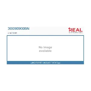 30090900BN REAL