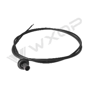 330033 WXQP