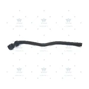 521081 WXQP