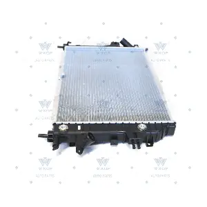 520895 WXQP