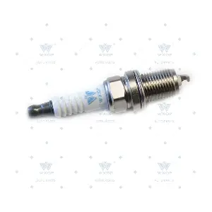12858 WXQP