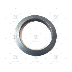 381893 WXQP