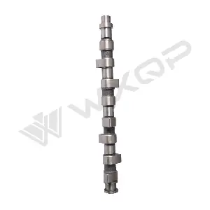 350119 WXQP