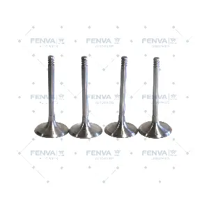 313131 WXQP