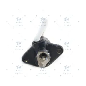 381859 WXQP