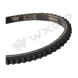 310947 WXQP