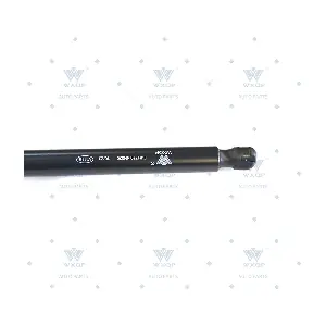 771001 WXQP