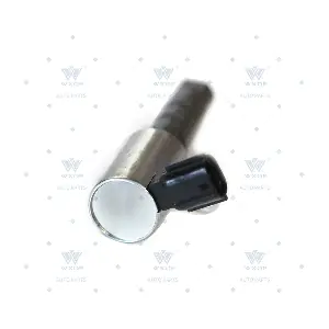 715861 WXQP