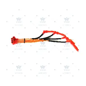 56209 WXQP