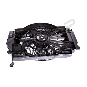 250097 WXQP
