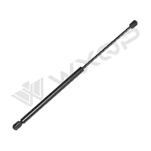 570025 WXQP