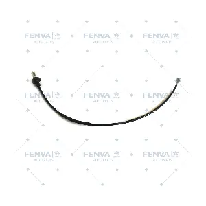 560561 WXQP