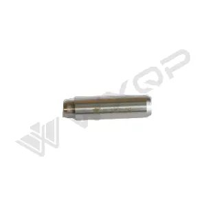 514889 WXQP