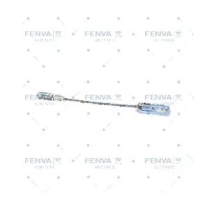 561247 WXQP