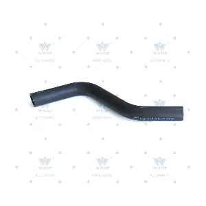 520959 WXQP