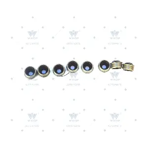WXQP 560873