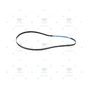 515565 WXQP