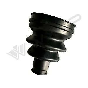 560995 WXQP