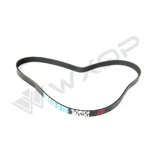 510305 WXQP