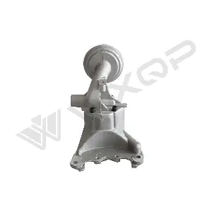 313407 WXQP