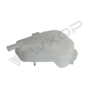 520731 WXQP