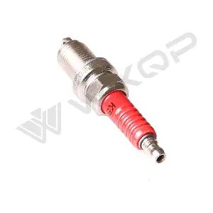 314037 WXQP