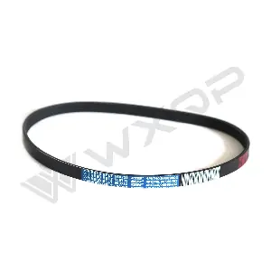 550733 WXQP