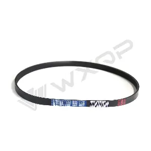 510301 WXQP