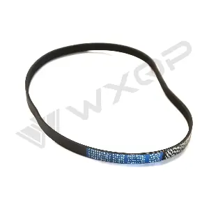 515279 WXQP