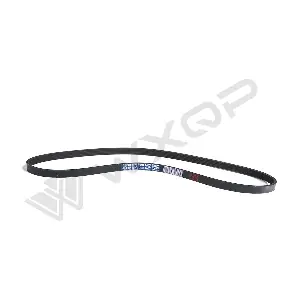 510309 WXQP