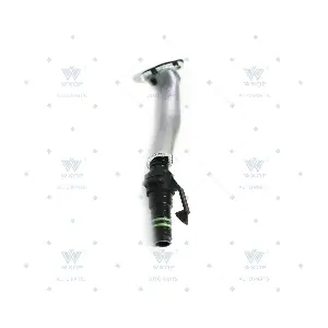 515633 WXQP