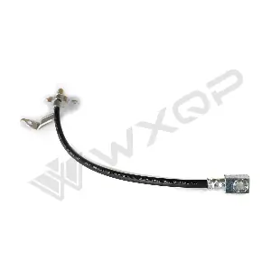 640157 WXQP