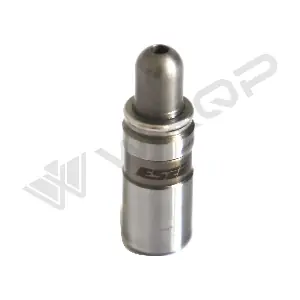 560299 WXQP