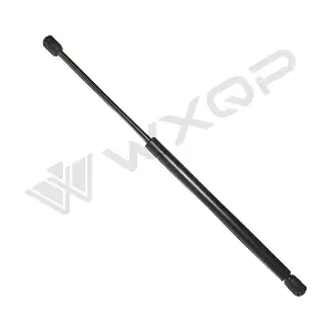 570013 WXQP