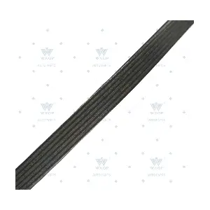 113055 WXQP